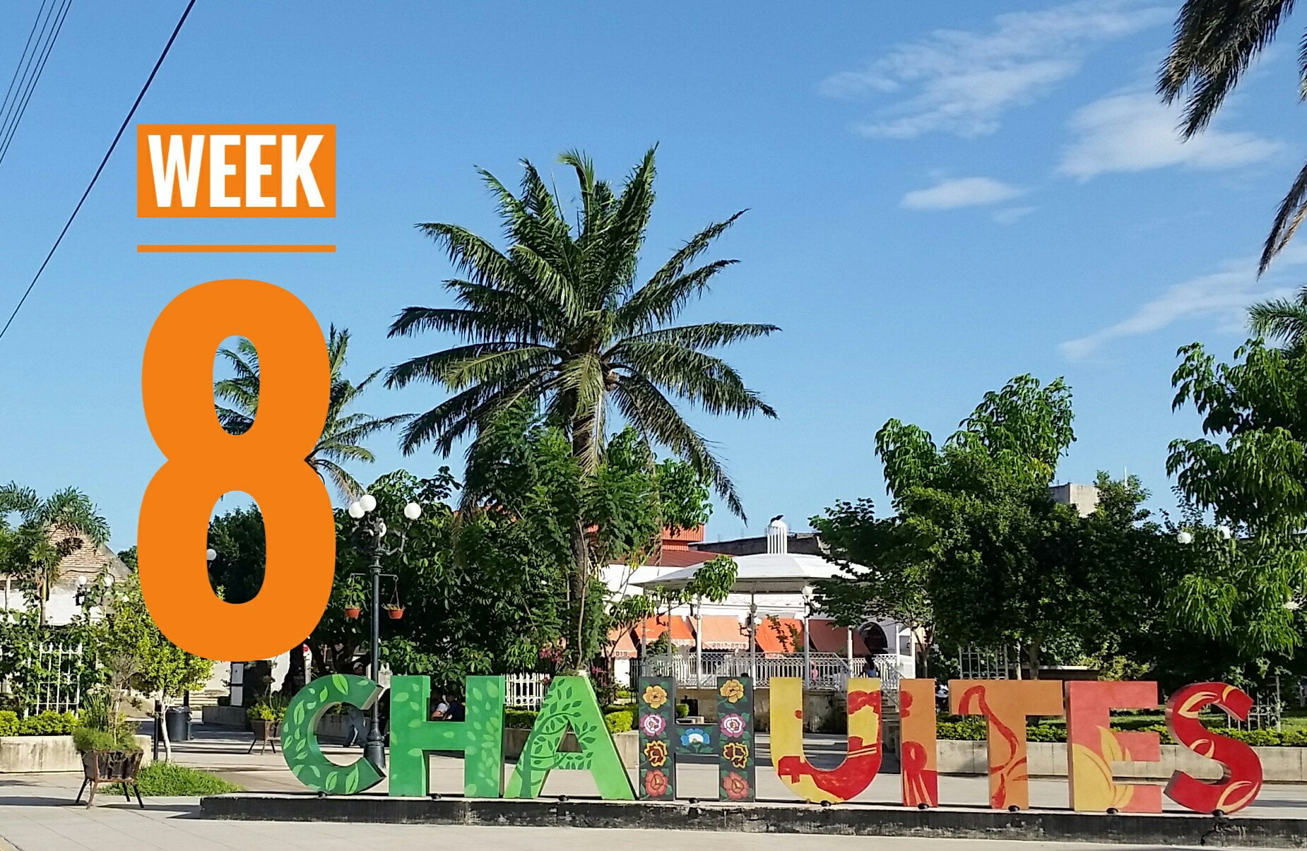 WEEK 8 | Mexico a Caballo