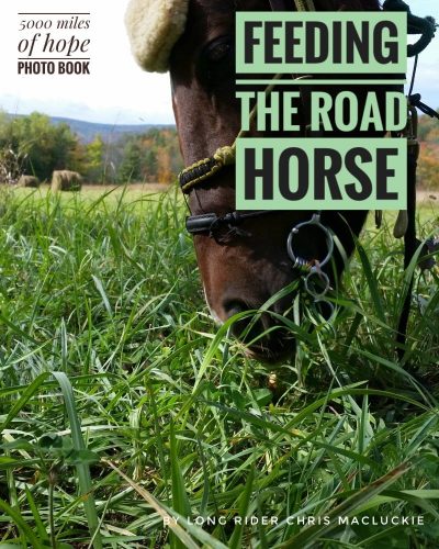 Feeding the road horse