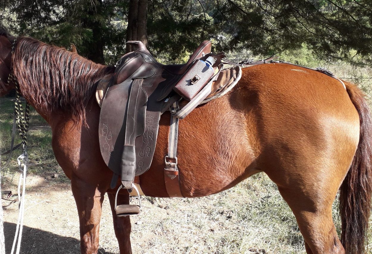 Custom-fitted flex panel saddle pads